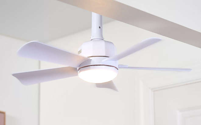 Cascade Pro 2 in 1 Socket 19 Inch Ceiling Fan and LED Light