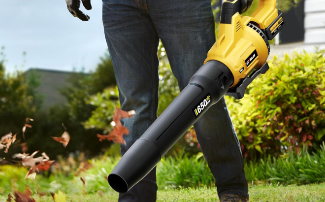 Cordless Leaf Blower