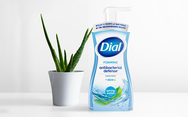 Dial Antibacterial Foaming Hand Wash