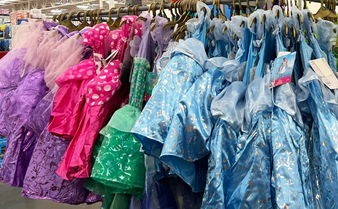 Disney Princess Kids Halloween Costumes Disney Princess Kids Halloween Costumes