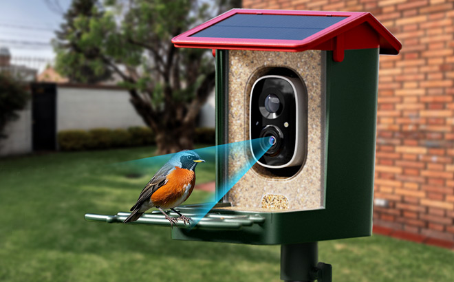 Heapets Smart Bird Feeder with Camera 1