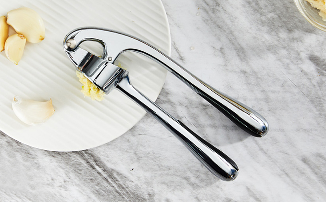 Kitessensu High Effective Premium Garlic Press Kitessensu High Effective Premium Garlic Press