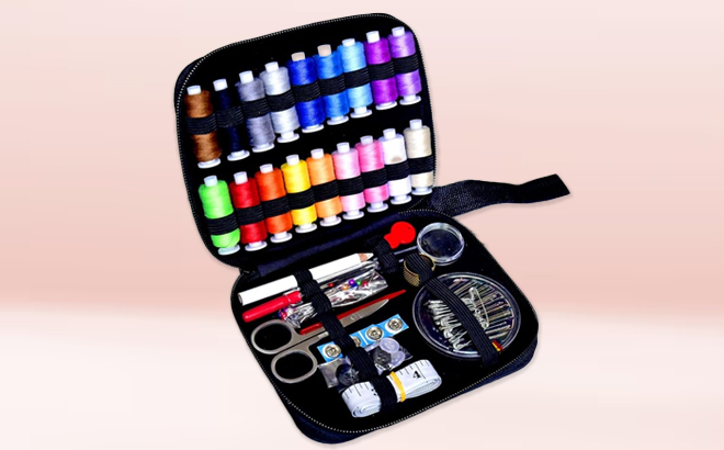 LE PAON Portable Sewing Kit with Black Case