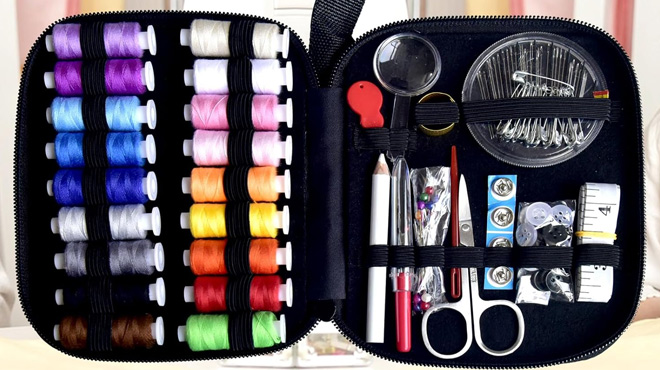LE PAON Portable Sewing Kit with Case