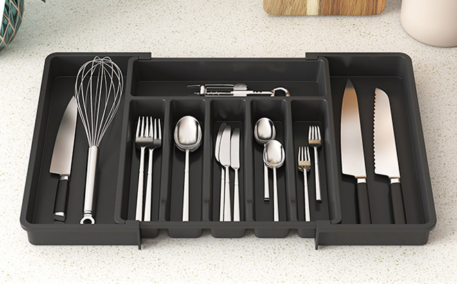 Large Drawer Organizer