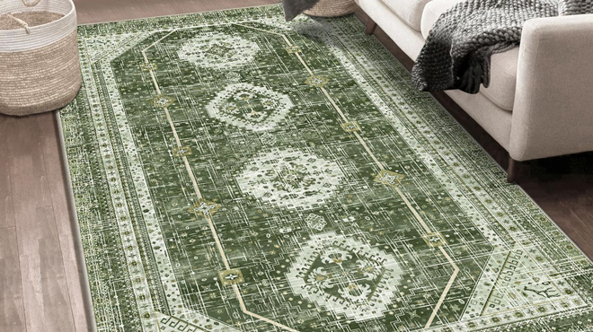 Lokhom 3 x 5 Feet Area Rug