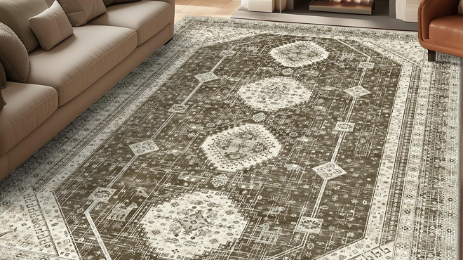 Lokhom 8 x 10 Feet Area Rug