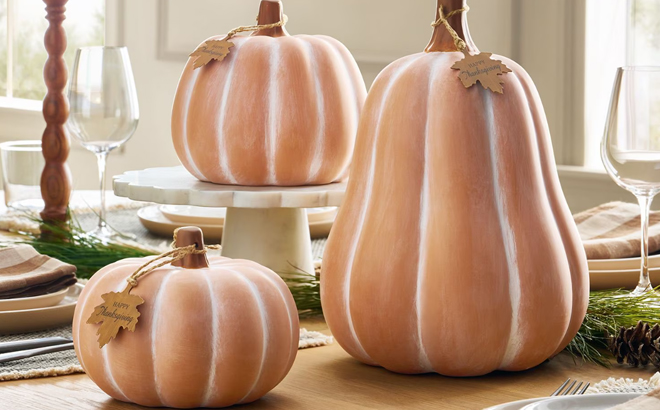 Members Mark Terra Cotta Pumpkins
