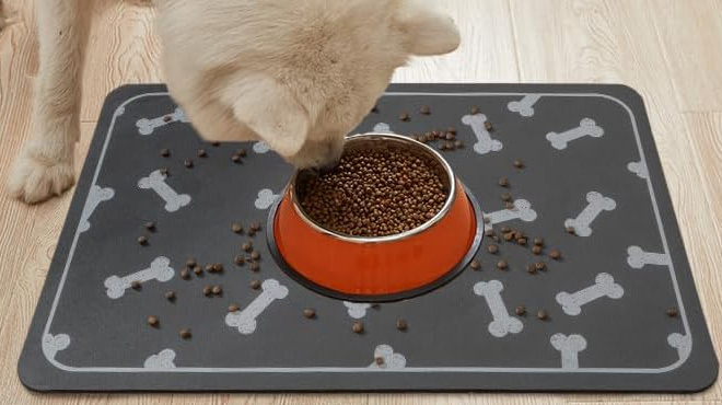Padoor Pet Feeding Mat for Food Water Bowl Padoor Pet Feeding Mat for Food Water Bowl