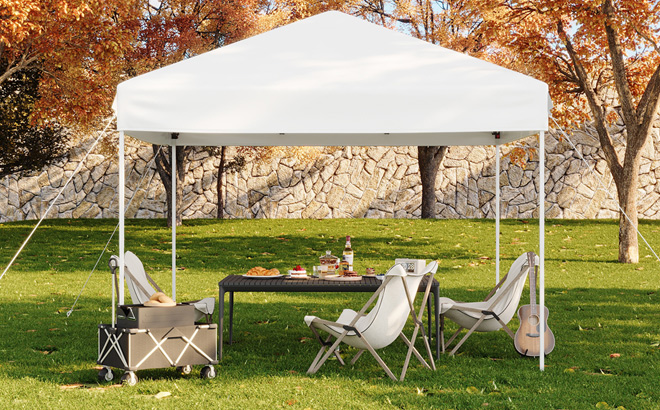 Pop Up Canopy Tent