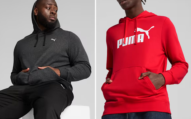 Puma Essentials Mens Hoodie Puma Essentials Mens Hoodie