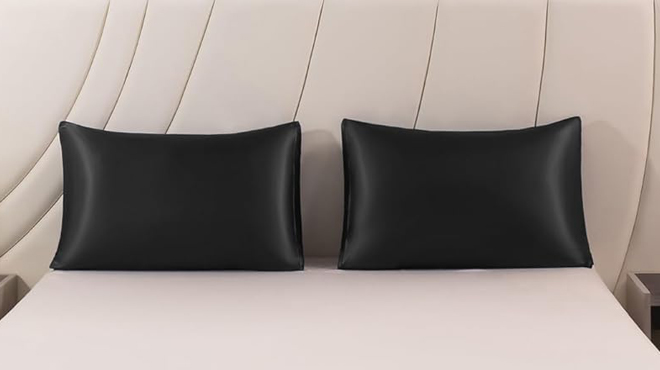 STFRBTH Satin Pillowcase 2 Pack STFRBTH Satin Pillowcase 2 Pack