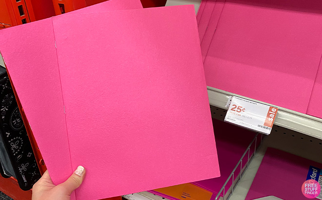 Staples Two Pocket Presentation Folder