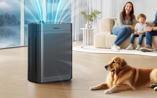 TerAir Air Purifier TerAir Air Purifier