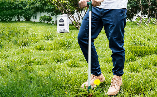 Walensee Weed Puller