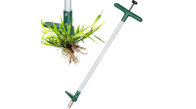 Walensee Weed Pullers