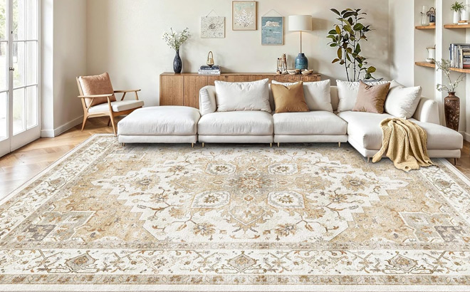 8x10 Washable Area Rug