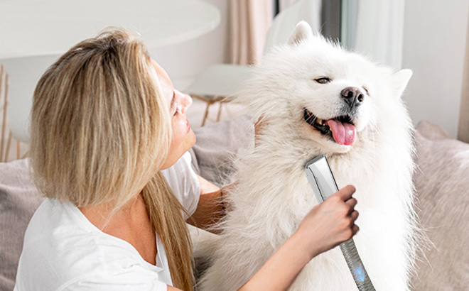 A Dog Being Groomed with a Dog Grooming Vacuum Kit