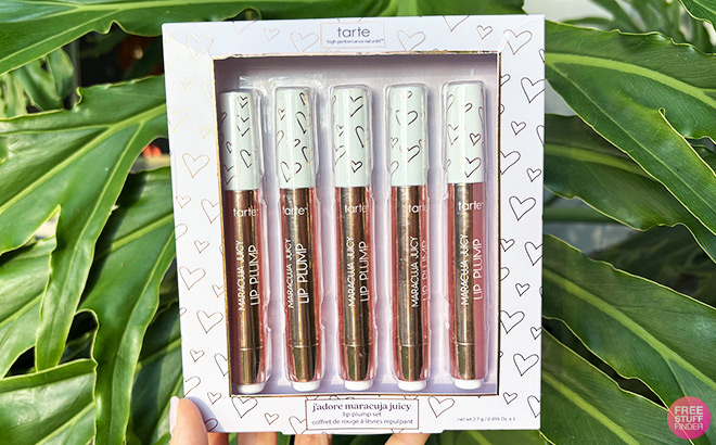 A Person Holding a Box of Lip Oil Set