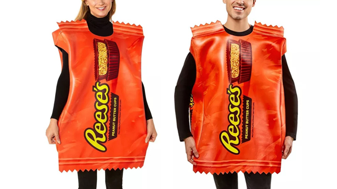 Adult Hersheys Reeses Peanut Butter Cup Halloween Costume