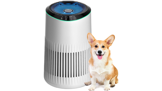 Air Purifier White