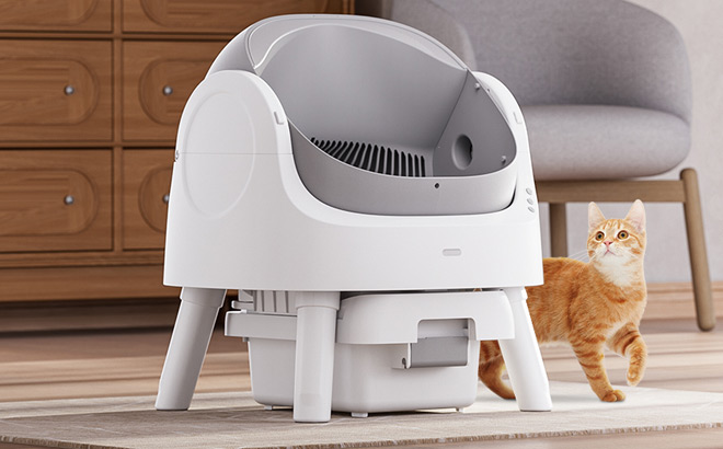 Automatic Cat Litter Box