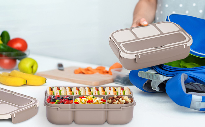 Bento Box Adult Lunch Box in Brown Color