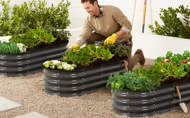 Best Choice Products Raised Metal Oval Planter Box