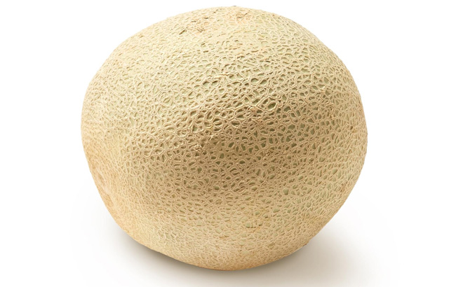 Cantaloupe Melon