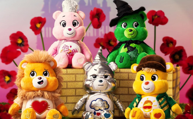 Care Bears x Wicked Fun Size Plush