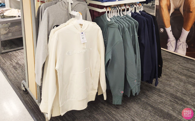 Champion Adult Sizing Iconic Embroidered Hoodies