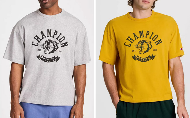 Champion Mens Graphic T Shirts Champion Mens Graphic T Shirts