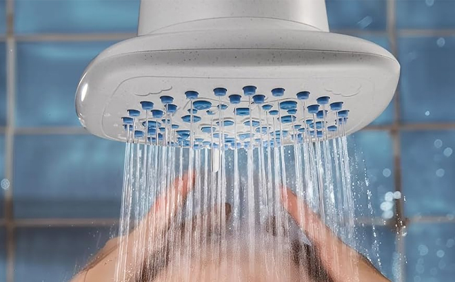 Cobbe High Pressure 7 Function Filtered Shower Head