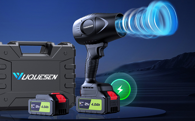 Cordless Leaf Blower and Two Batteries