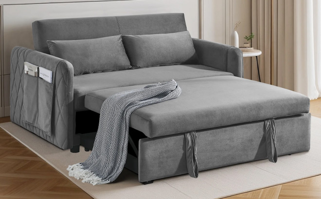 Dinosisco Convertible Loveseat Sleeper