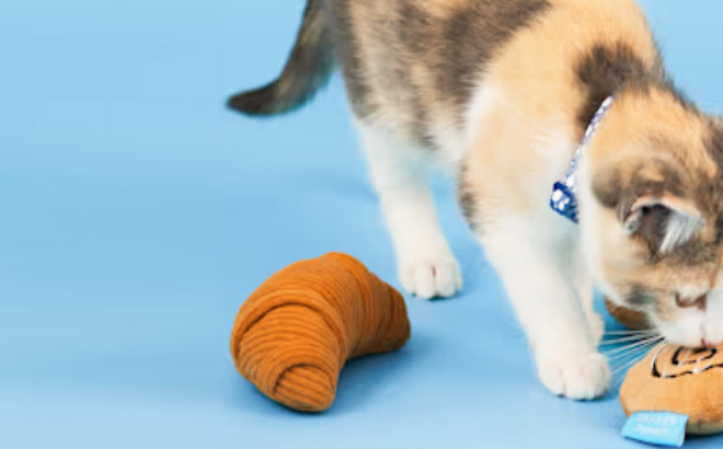 Draper James Flaky Croissant Toy Next to a Cat