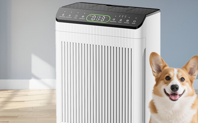 Evalit Large Room Air Purifier