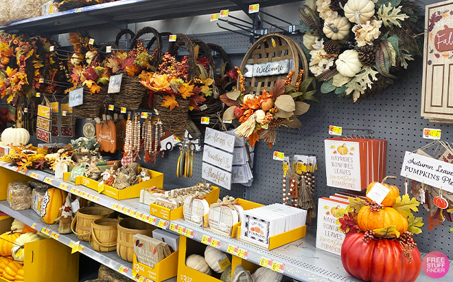 Fall Decorations inside a Store