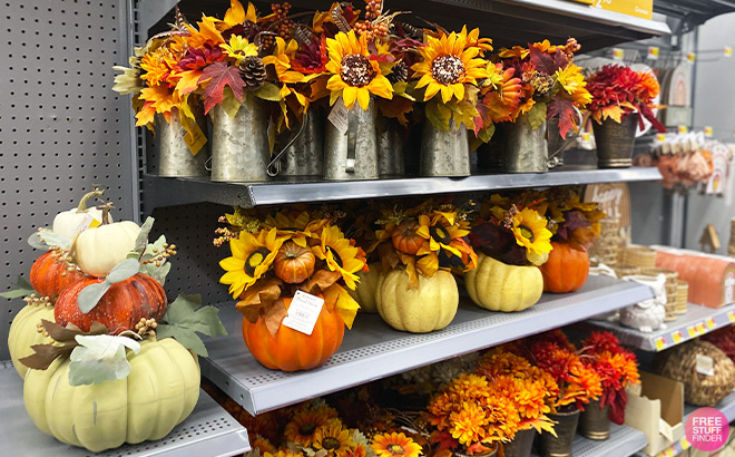 Fall Decorations on Store Shelves