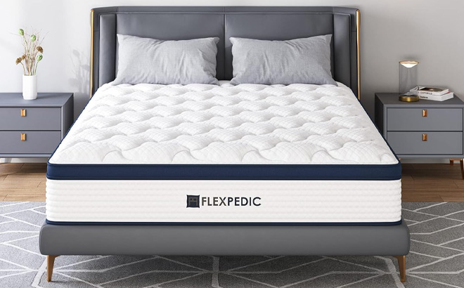 Flexpedic Deep Sleep 8 Inch Mattress Flexpedic Deep Sleep 8 Inch Mattress