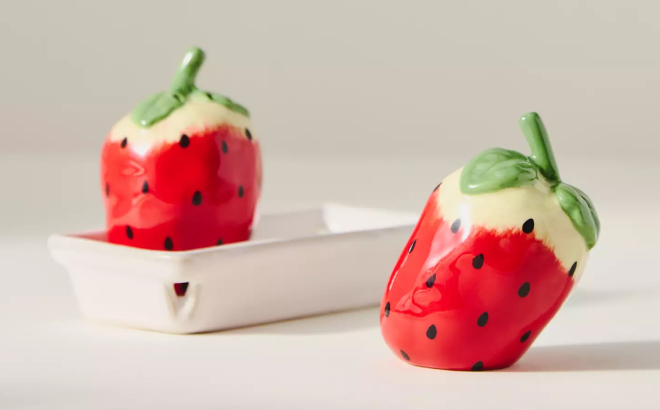 Foster Icon Stoneware Salt Pepper Shakers