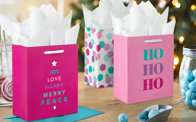 Hallmark Small Holiday Gift Bag Assortment