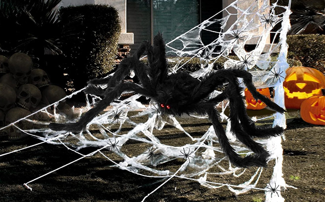 Halloween Spider Web Decoration with Fake Spide