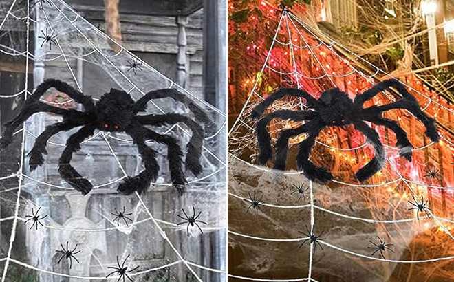 Halloween Spider Web Decoration with Giant Fake Spider Halloween Spider Web Decoration with Giant Fake Spider