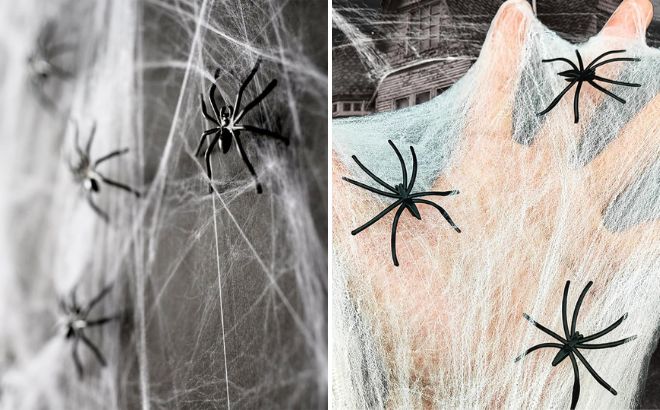 Halloween Spider Web Decoration Halloween Spider Web Decoration
