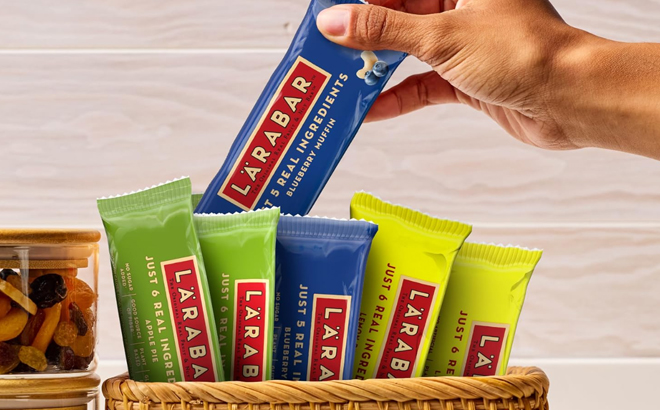 Larabar Fruit and Nut Bars