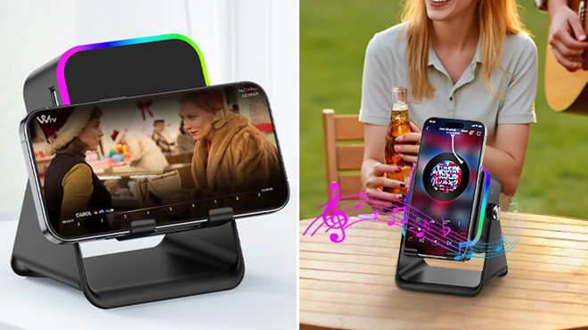 Milouz Wireless Induction Speaker Milouz Wireless Induction Speaker