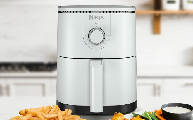Ninja 2 Quart Mini Air Fryer