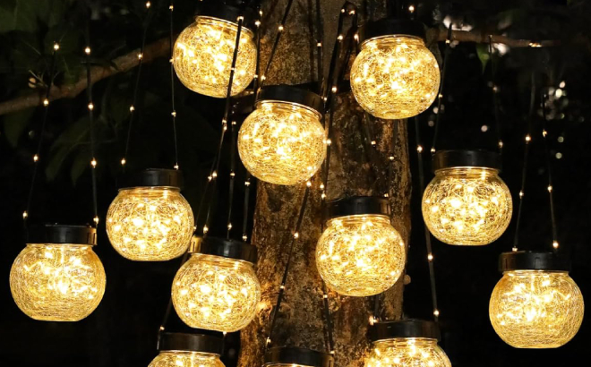 Outdoor Solar Lights