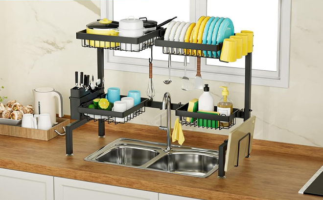 Over The Sink Dish Drying Rack